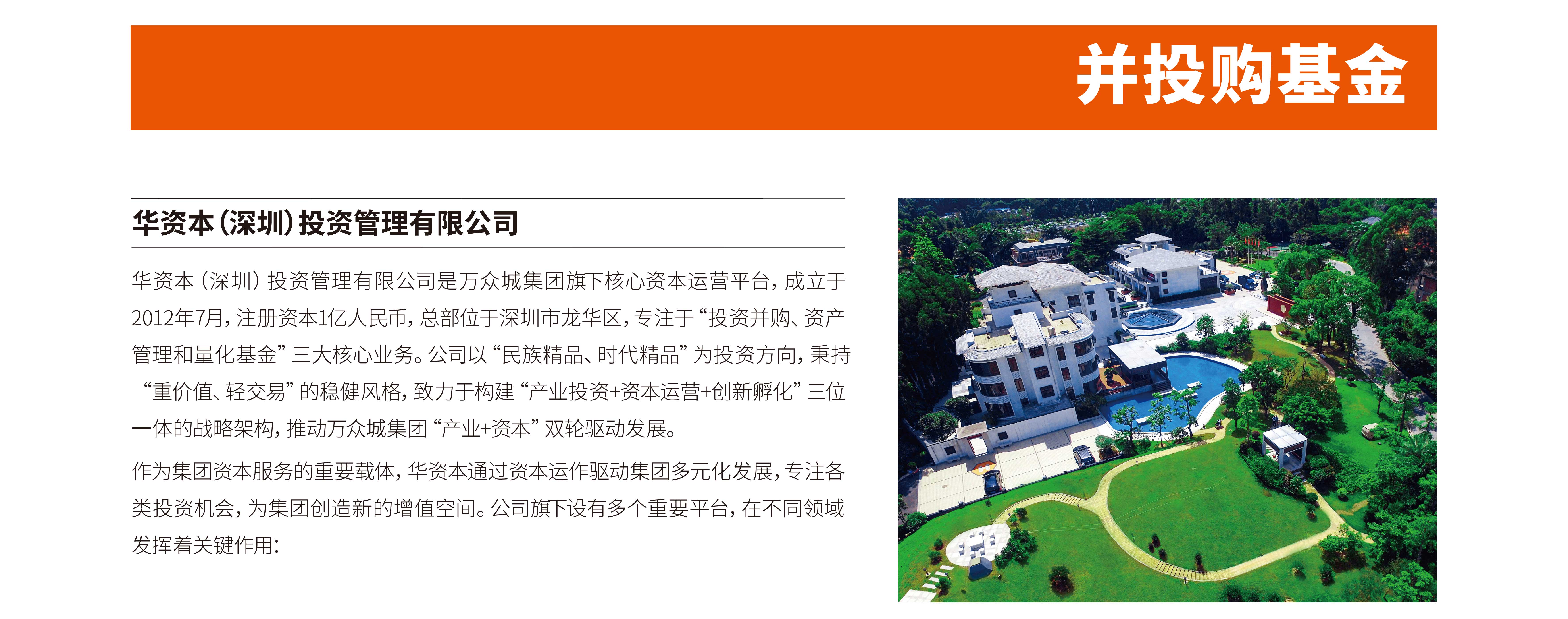 并投購(gòu)基金